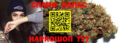 Альфа ПВП Чапаевск