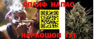 гашик Чебаркуль