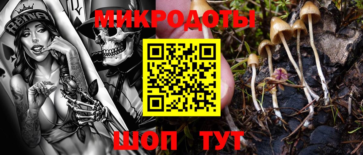 Галлюциногенные грибы Magic Shrooms  Вход с VPN  Волжск 